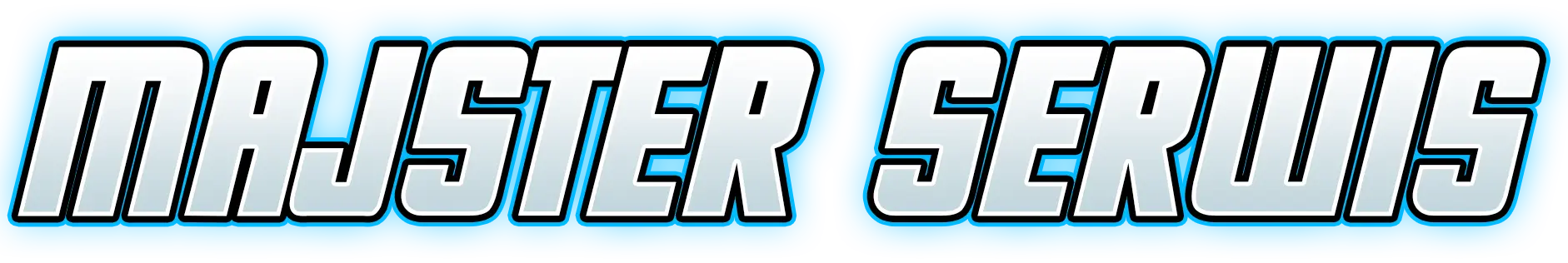 majster serwis logo